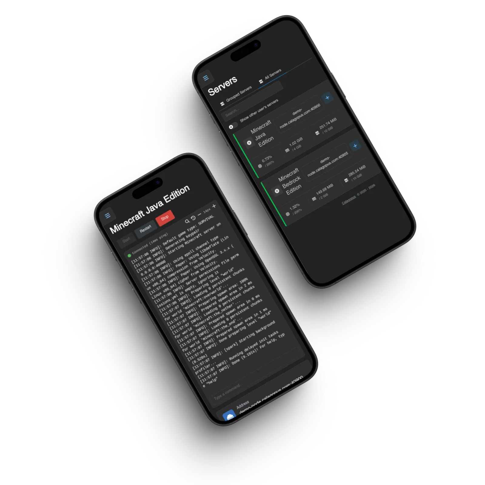 Calagopus mobile interface showing a live server console on iPhone